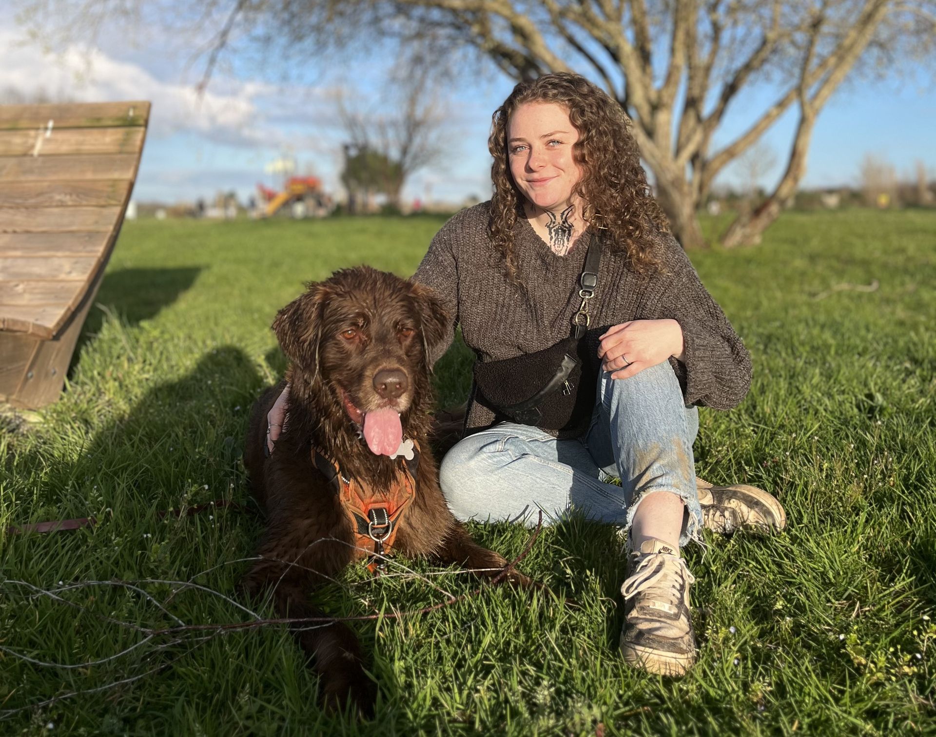 chien marron et femme assis dans l'herbe