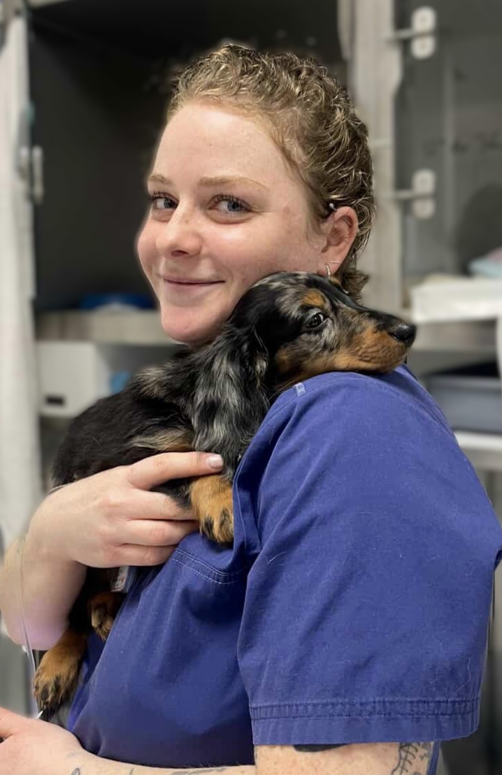 petit chien dans les bras d'une femme